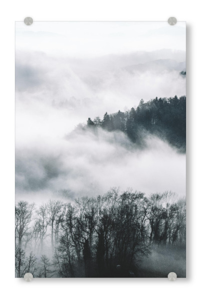 Acrylglasbild "Forest - Left" artboxONE - Natur - Wald,Nebel,Bäume,Wolken