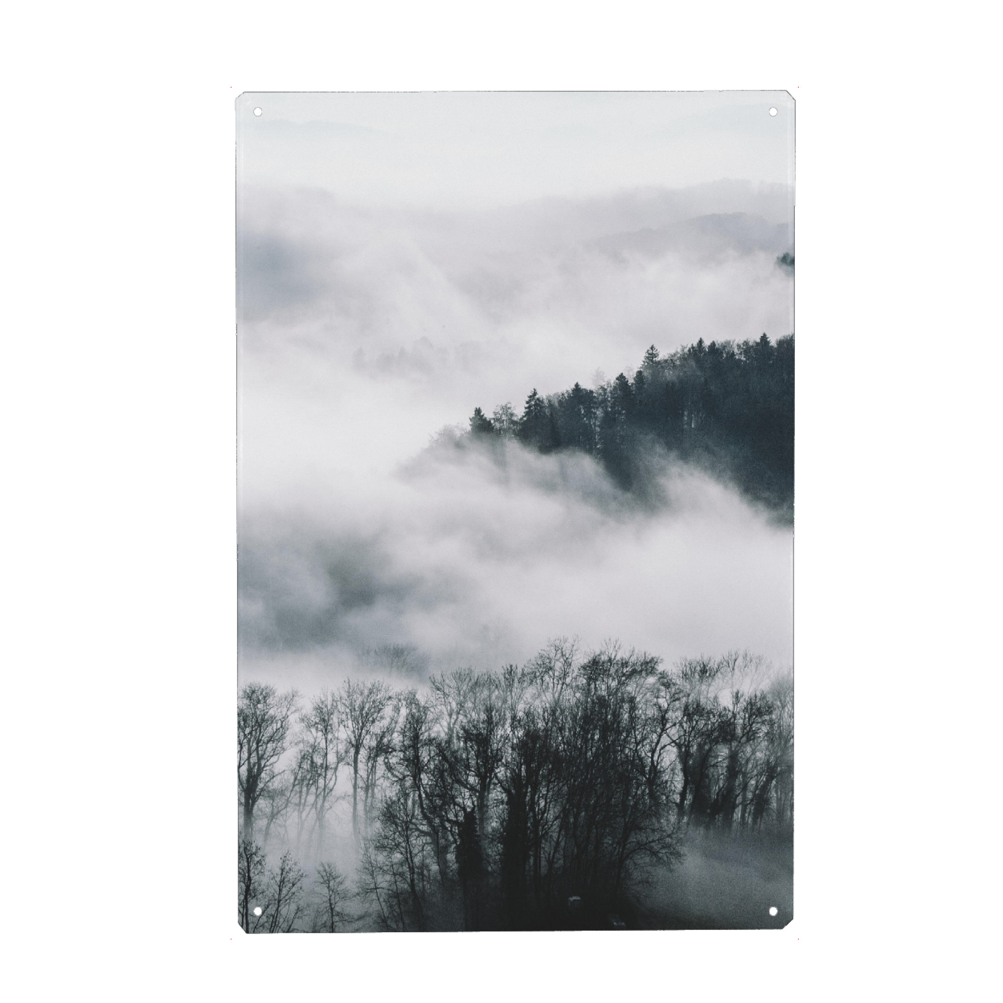 Holzbild "Forest - Left" artboxONE - Natur - Wald,Nebel,Bäume,Wolken