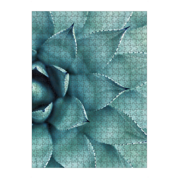 artboxONE Puzzle "Succulent - Right" artboxONE - Floral - Sukkulente,Kaktus,Pflanze,Natur,Nahaufnahme,Botanisch - Bild sukkulente