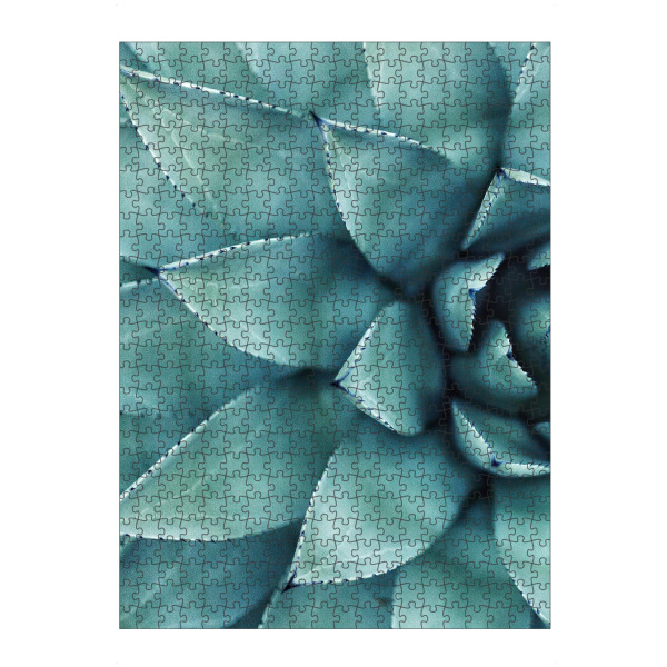 artboxONE Puzzle "Succulent - Left" artboxONE - Floral - Sukkulente,Pflanze,Kaktus,Botanisch,Nahaufnahme - Bild sukkulente