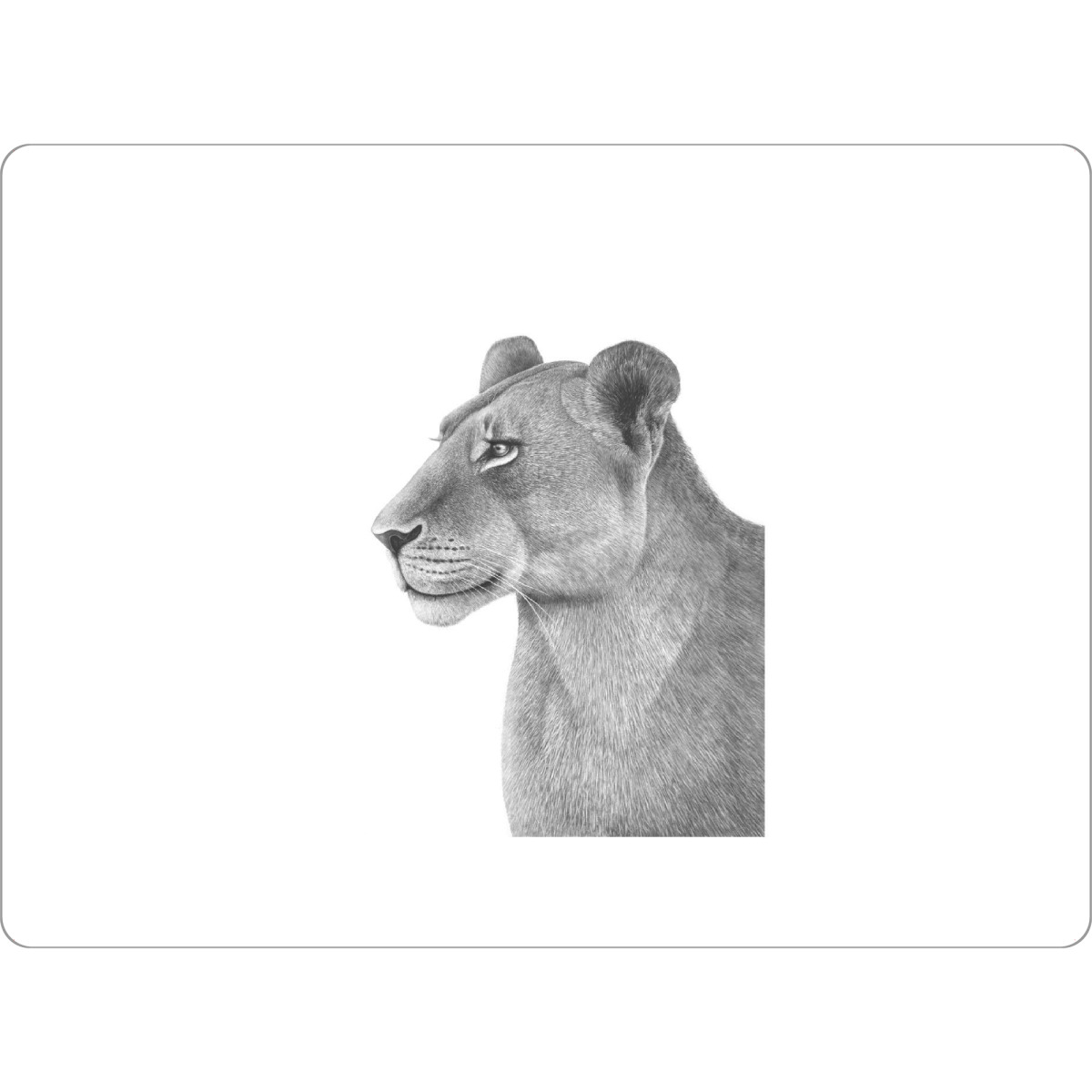 Tischset "The Lioness" artboxONE - Natur,Tiere,Schwarzweiß - Cat,Lioness,Black and white,Lion,Illustration - Bild cat