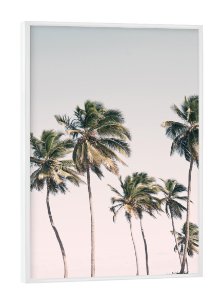 Poster mit weißem Rahmen "Tropical Dreams" artboxONE - Reise / Strand und Meer - Palm trees,Island,Photography,Travel,Palm leaves,Tropical