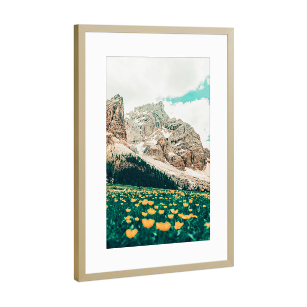 Poster mit Rahmen Gold "Hillside Meadow" artboxONE - Natur - Nature,Landscape,Flowers,Mountains,Sky