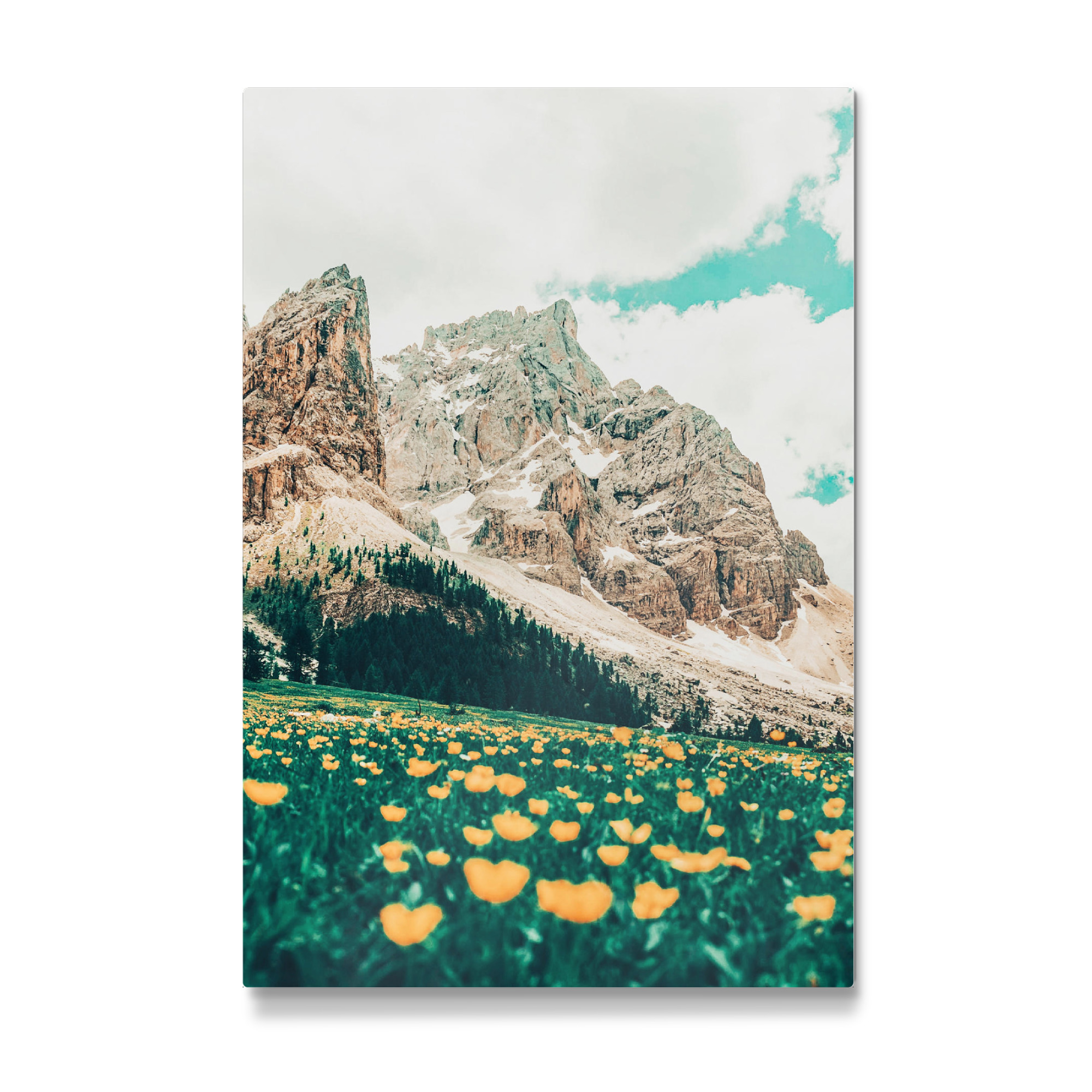 Galerie-Print "Hillside Meadow" 30x20 cm artboxONE