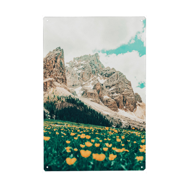 Metall Poster "Hillside Meadow" artboxONE - Natur - Nature,Landscape,Flowers,Mountains,Sky - Blechschild