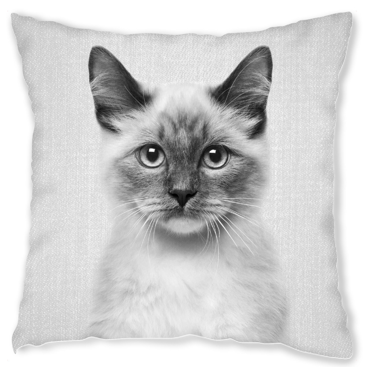 Design-Kissen "Cat - Black & White" artboxONE - Tiere,Schwarzweiߟ - Animal,Animals,Cat,Cats,Kitten,Pet,Pets