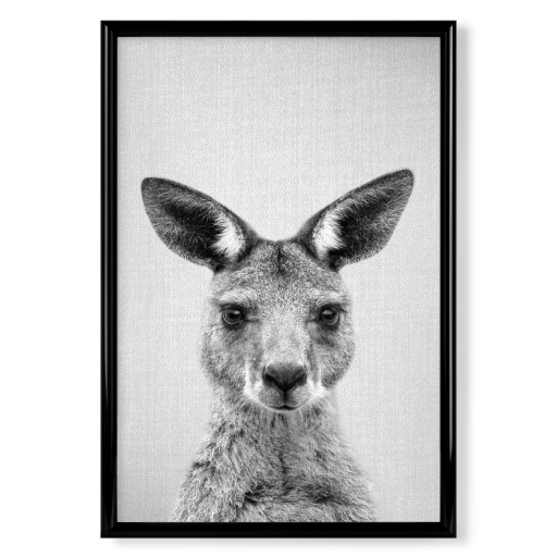 Kangaroo - Black & White