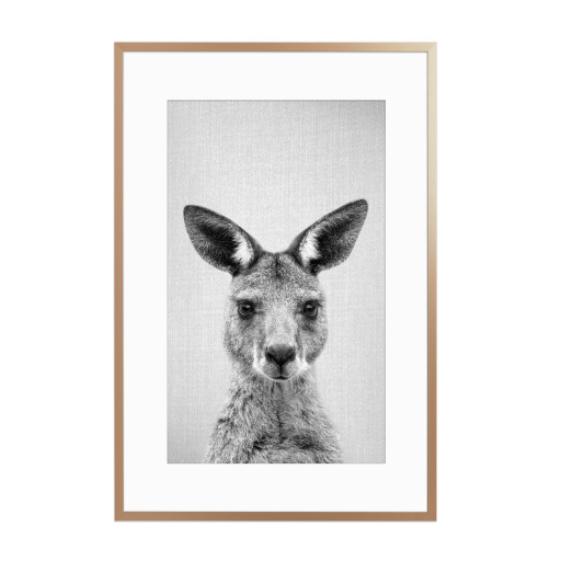 Kangaroo - Black & White