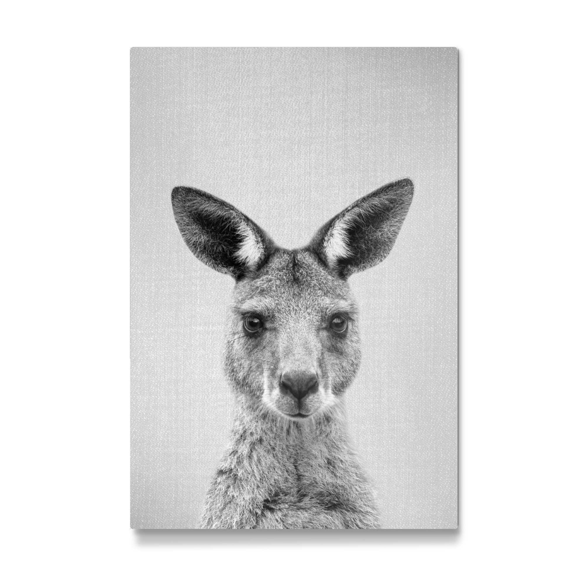 Galerie-Print "Kangaroo - Black & White" 30x20 cm artboxONE