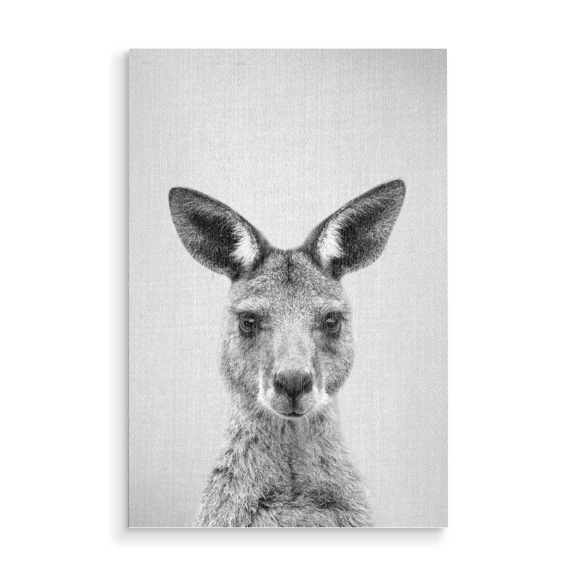 Holzbild "Kangaroo - Black & White" artboxONE - Tiere,Schwarzweiß
