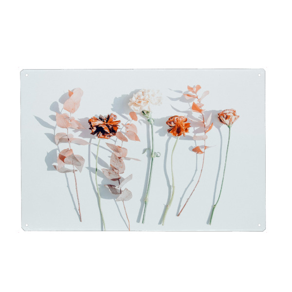 Holzbild "Minima" artboxONE - Floral - Color,Floral,Nature,Botanical,Still life,Flowers,Blossom,Winter,Bloom,Flourish,Coral,Garden,Minimal