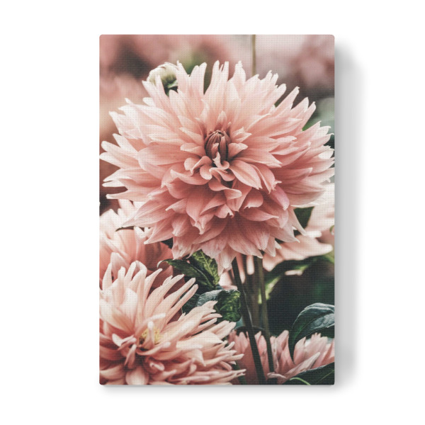 Leinwandbild "Beautiful Flowers Photography" artboxONE - Floral - Floral,Flower,Flowers