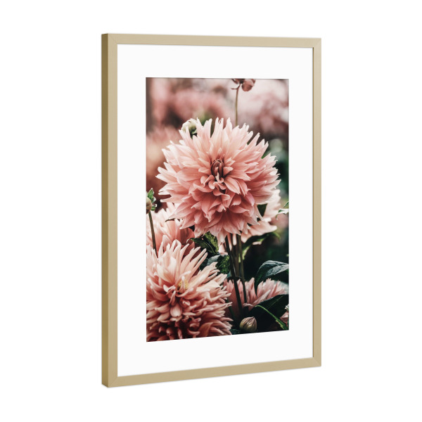 Poster mit Rahmen Gold "Beautiful Flowers Photography" artboxONE - Floral - Floral,Flower,Flowers