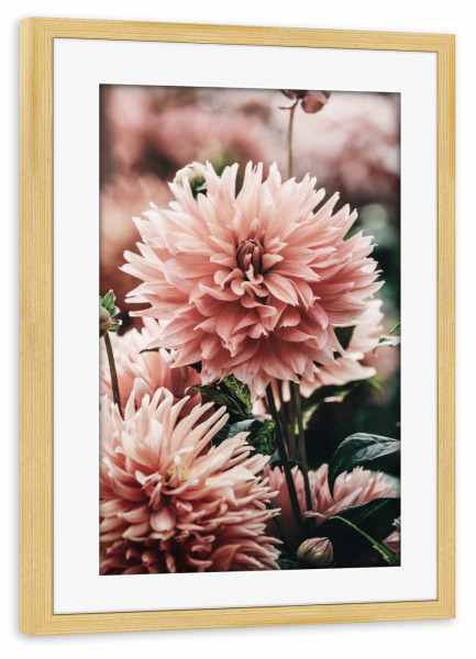 Poster mit Rahmen kiefer "Beautiful Flowers Photography" artboxONE - Floral - Floral,Flower,Flowers