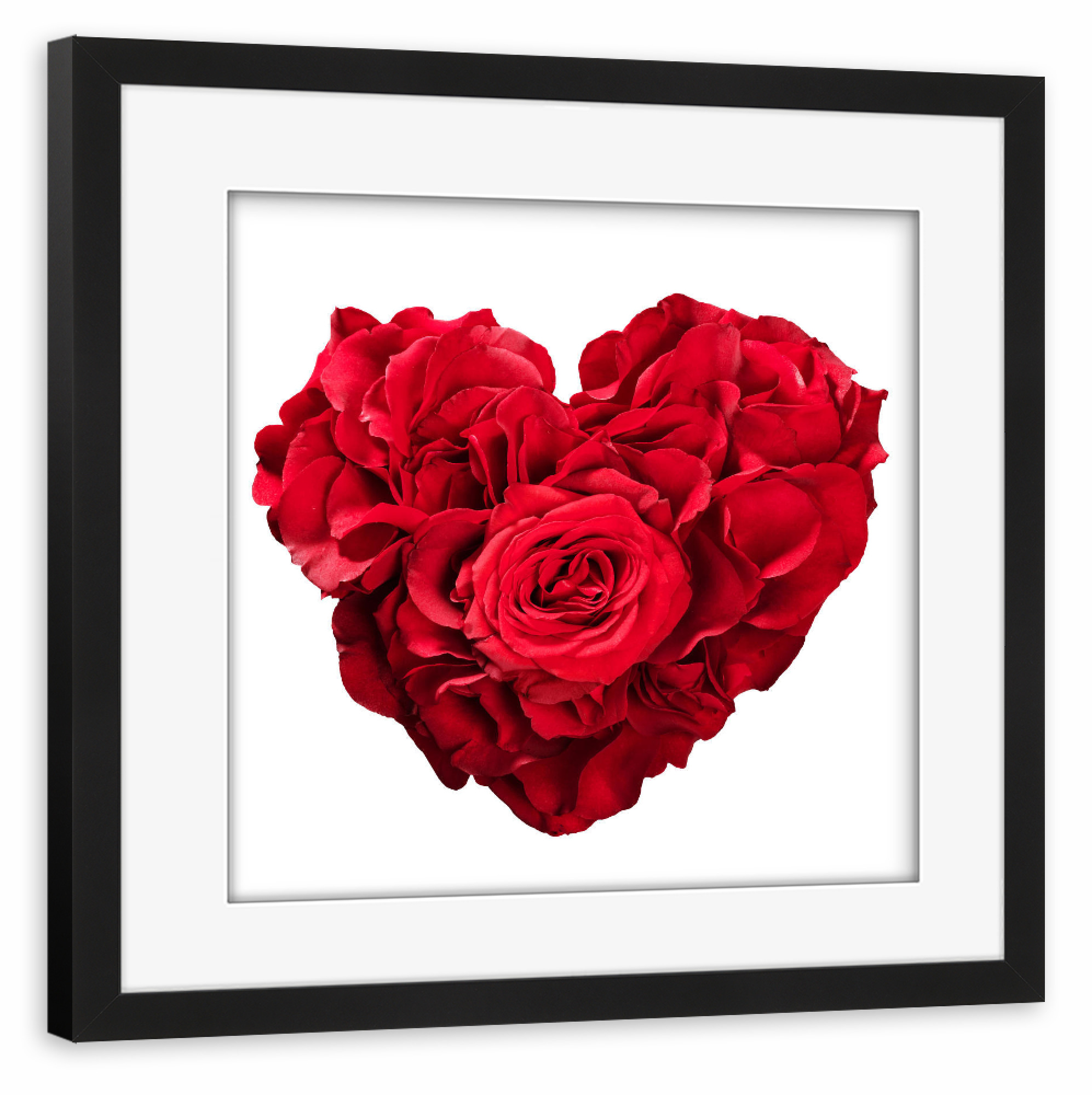Poster mit Rahmen schwarz "Roses in heart shape on white" artboxONE - Floral,Liebe