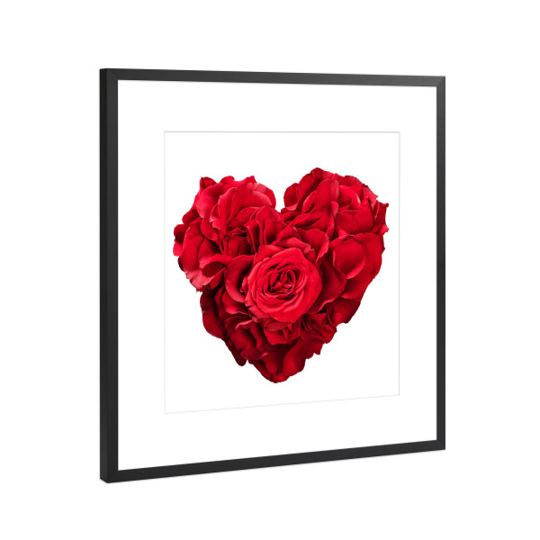 Poster mit Rahmen Schwarz (Metallic) "Roses in heart shape on white" artboxONE - Floral,Liebe