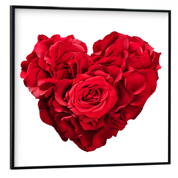 Poster mit schwarzem Rahmen 30x30 cm "Roses in heart shape on white" artboxONE - Floral,Liebe