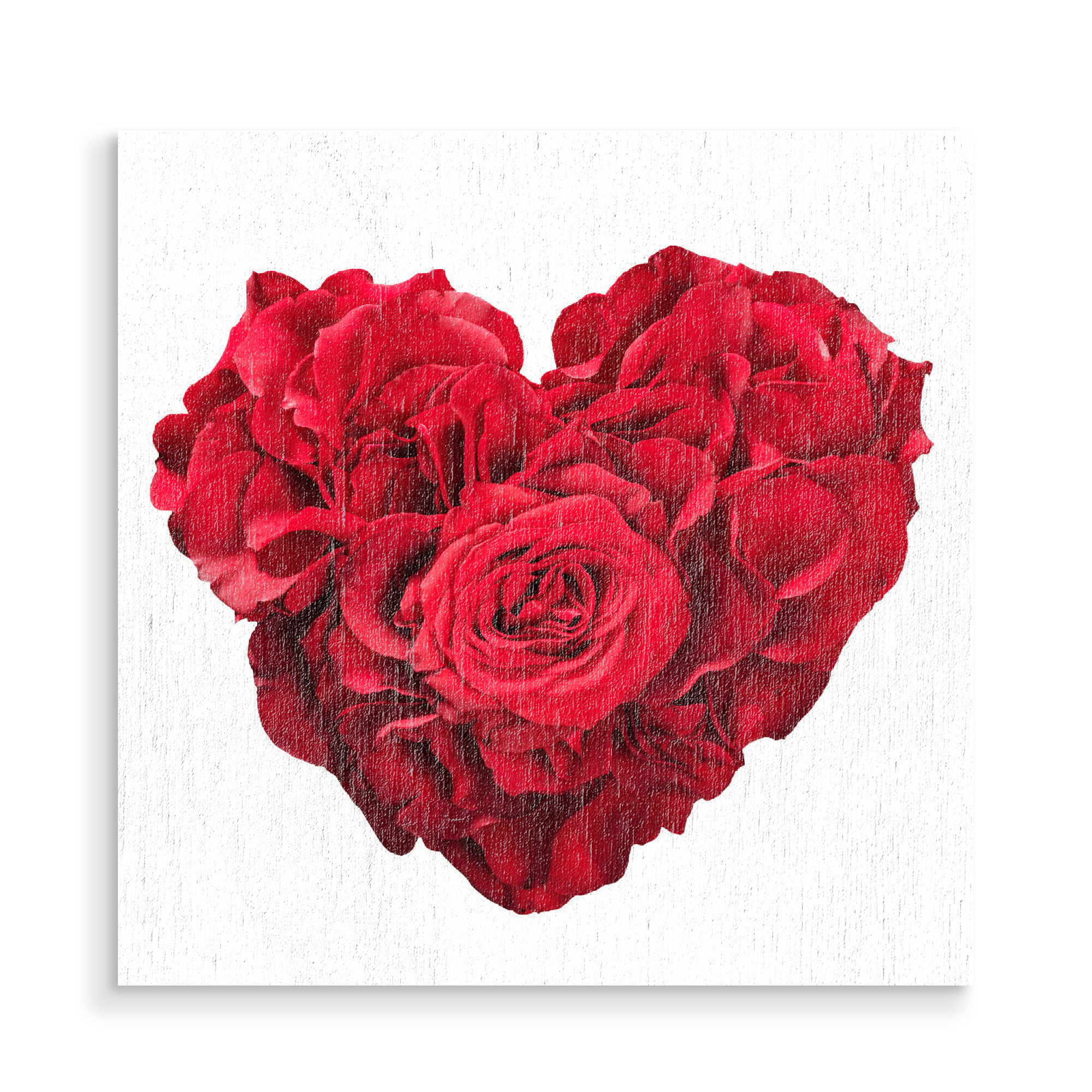 Holzbild "Roses in heart shape on white" artboxONE - Floral,Liebe