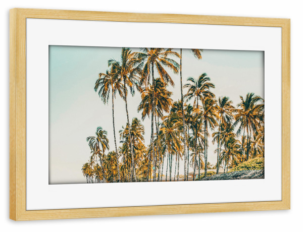 Poster mit Rahmen kiefer "Island Life-III" artboxONE - Natur