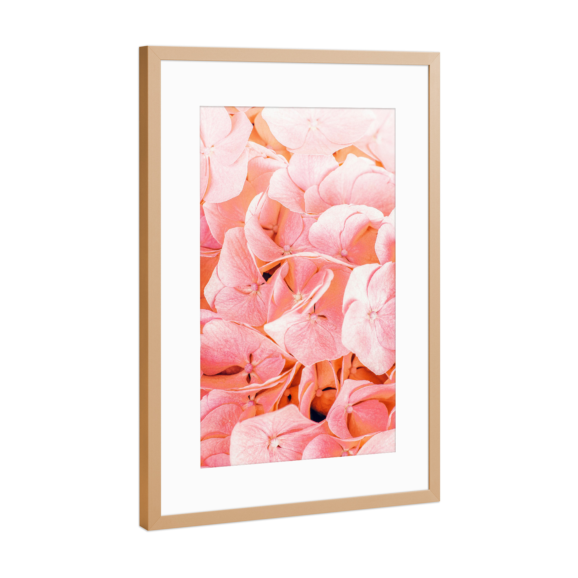 Poster mit Rahmen Kupfer "Blushing-II" artboxONE - Natur,Floral