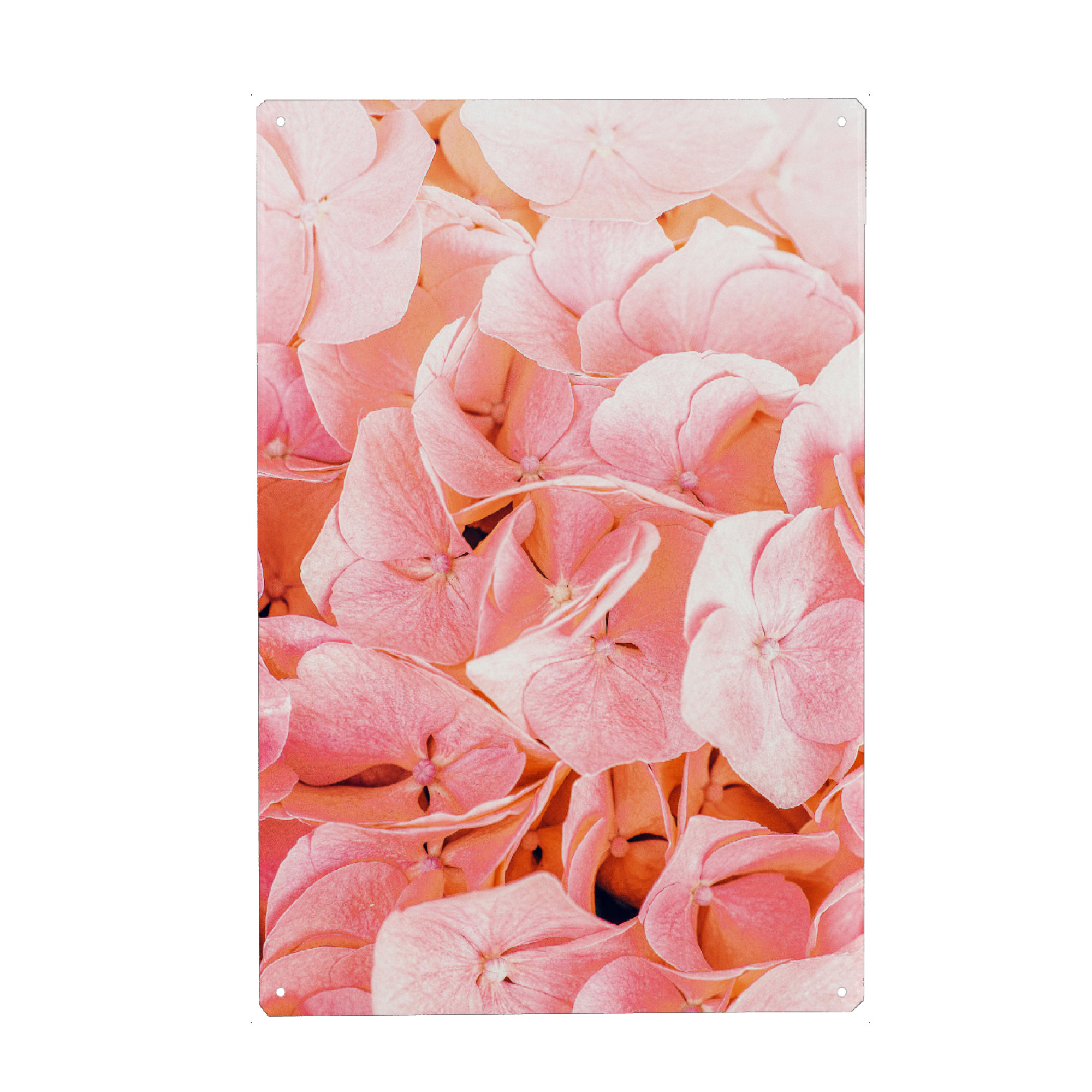 Holzbild "Blushing-II" artboxONE - Natur,Floral