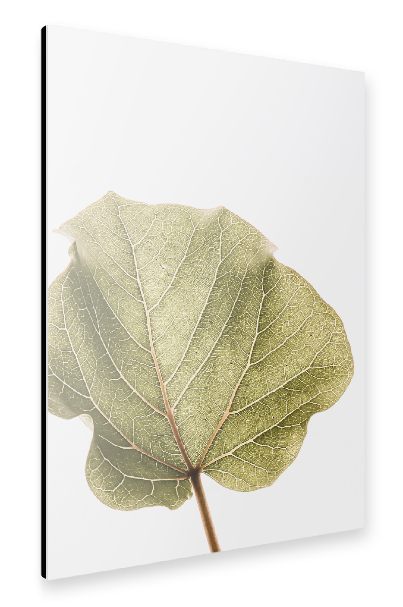 Alu-Dibond "Kloof" 30x20 cm artboxONE