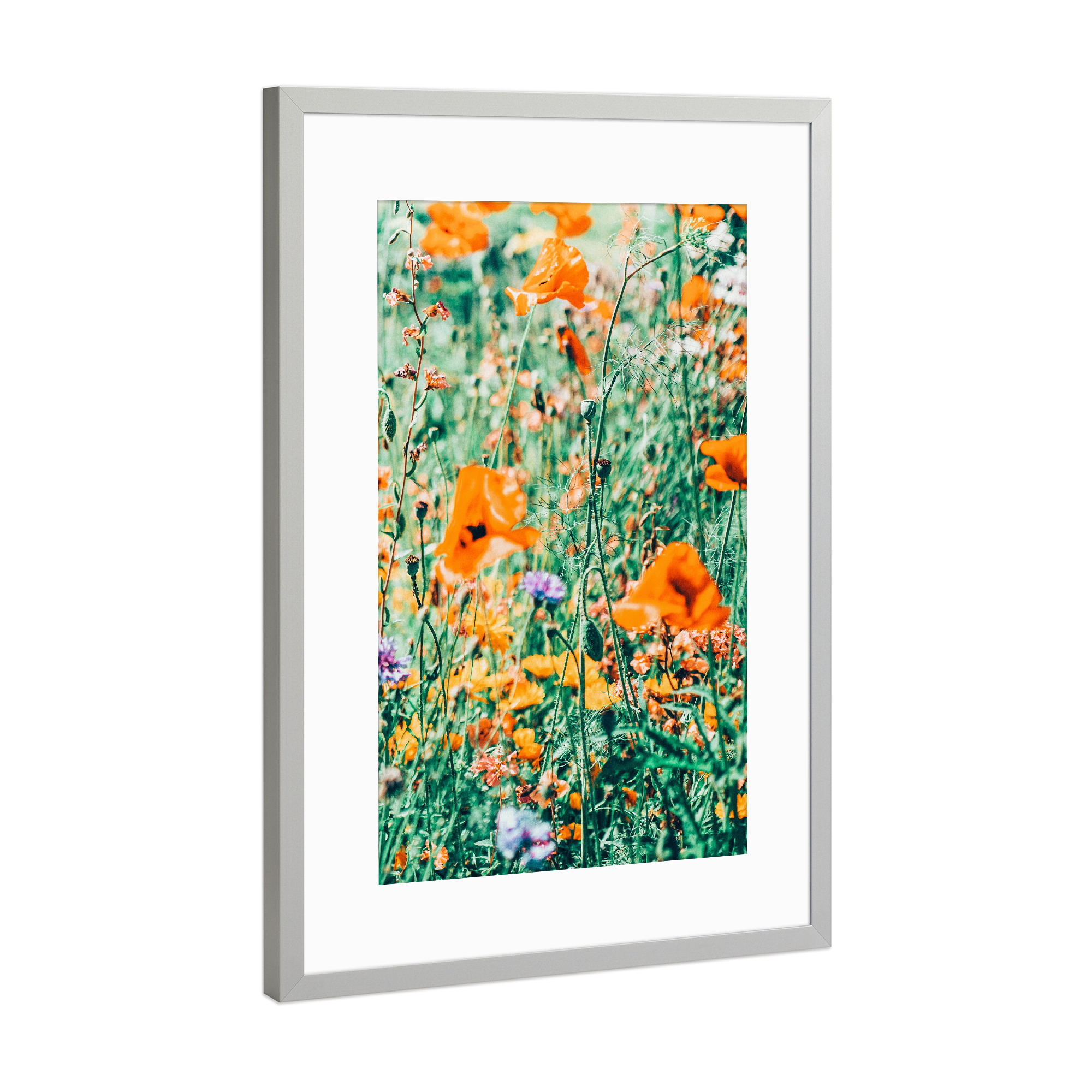 Poster mit Rahmen Silber "Eva | Nature Floral Meadow Garden" artboxONE - Floral