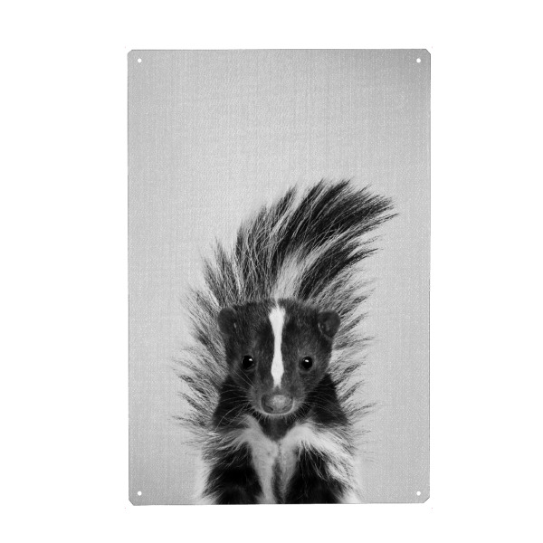 Metall Poster "Skunk - Black & White" artboxONE - Tiere,Schwarzweiß