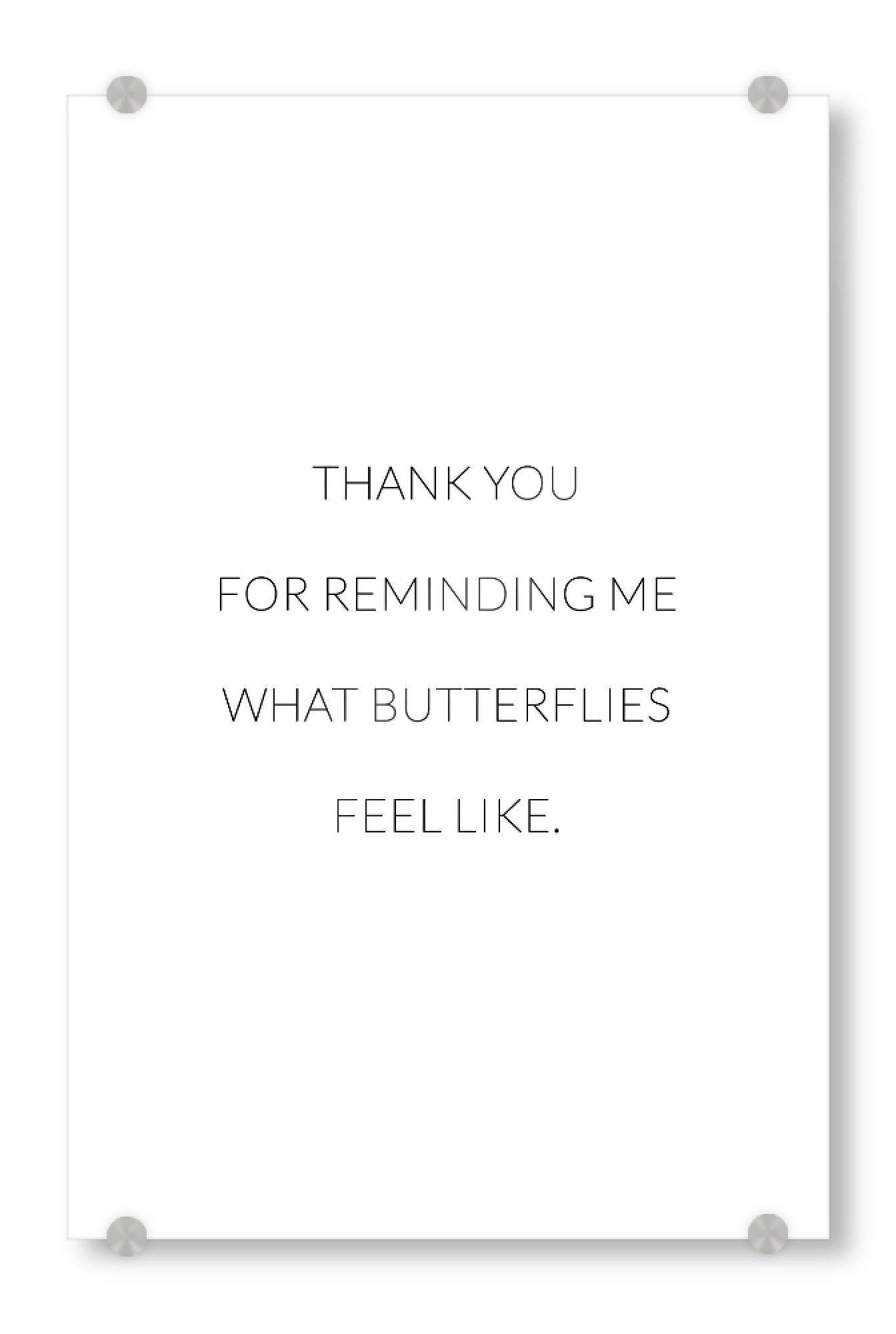 Acrylglasbild "What butterflies feel like" artboxONE - Typografie,Schwarzweiß,Liebe