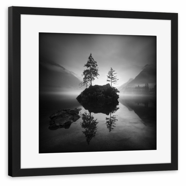 Poster mit Rahmen schwarz "Bauminsel Hintersee" artboxONE - Natur,Schwarzweiß