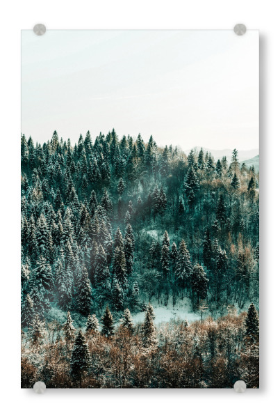 Acrylglasbild "In The Wild" artboxONE - Natur