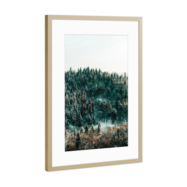 Poster mit Rahmen Gold "In The Wild" artboxONE - Natur