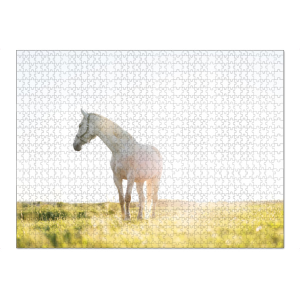 Puzzle Ravensburger "White horse standing on grass" artboxONE - Tiere