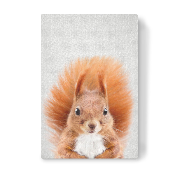 Leinwandbild "Baby Squirrel - Colorful" artboxONE - Tiere