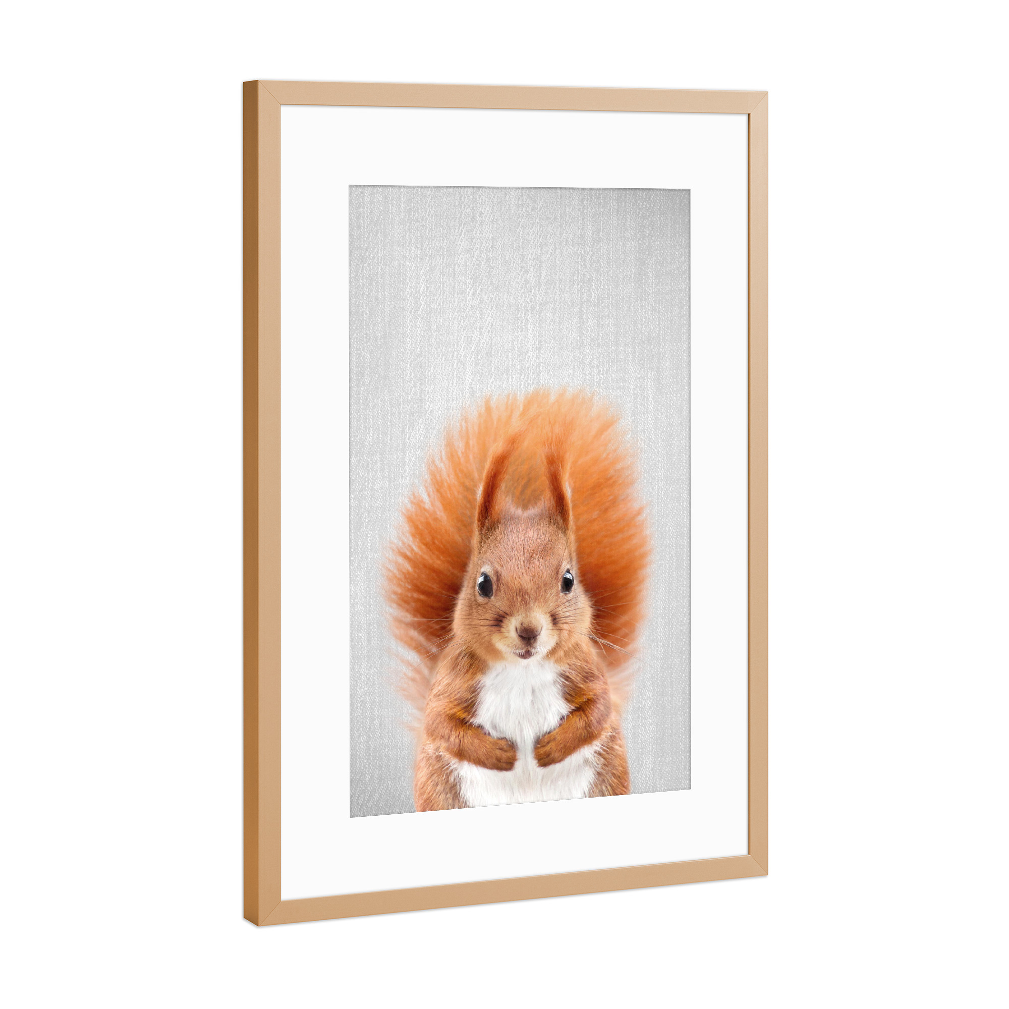 Poster mit Rahmen Kupfer "Baby Squirrel - Colorful" artboxONE - Tiere