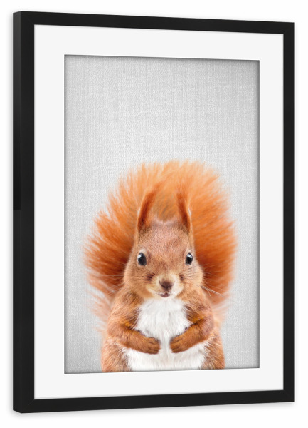 Poster mit Rahmen schwarz "Baby Squirrel - Colorful" artboxONE - Tiere