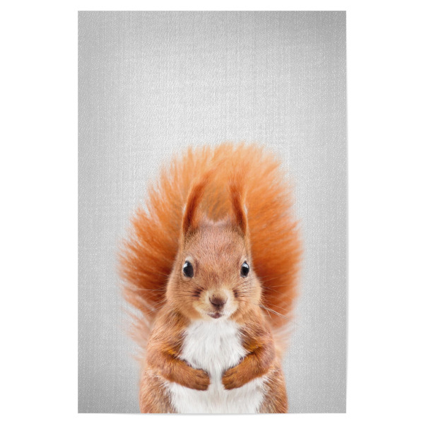 Poster "Baby Squirrel - Colorful" artboxONE - Tiere