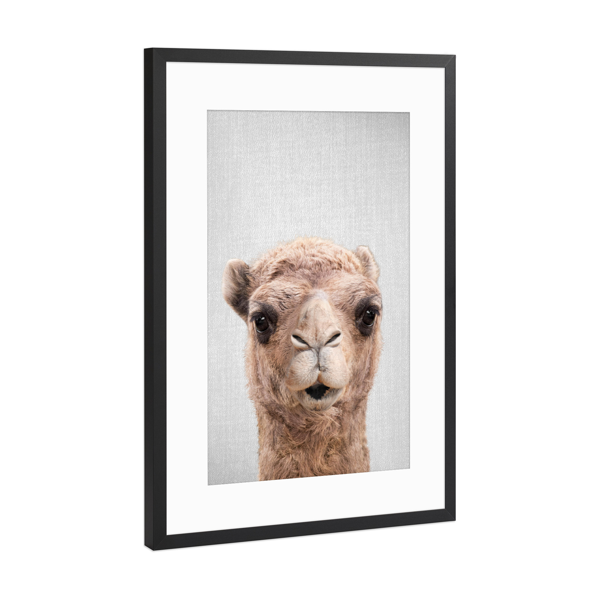 Poster mit Rahmen Schwarz (Metallic) "Camel - Colorful" artboxONE - Tiere