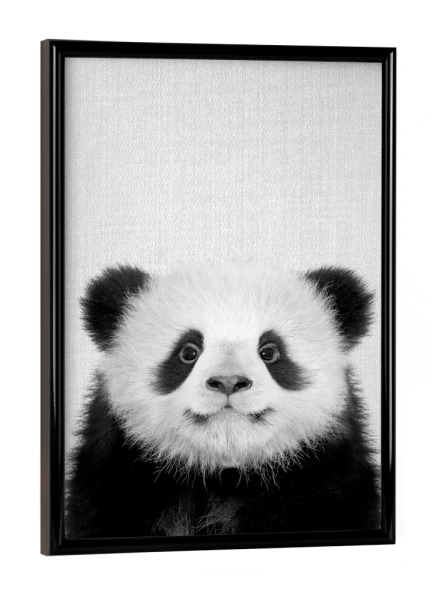 Poster mit schwarzem Rahmen "Baby Panda Bear - Black & White" artboxONE - Tiere,Schwarzweiß