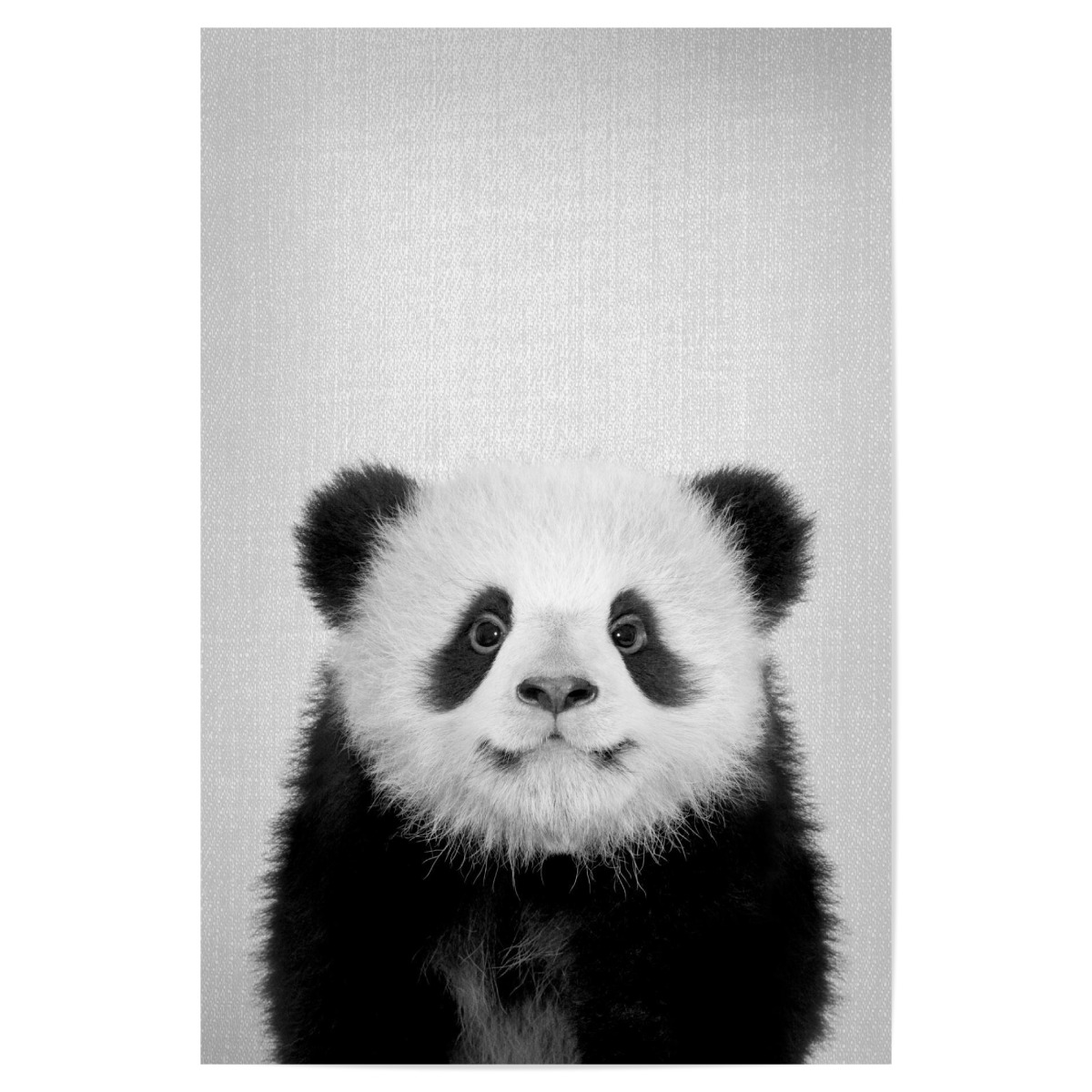 Baby Panda Bear - Black & White als Poster bei artboxONE kaufen