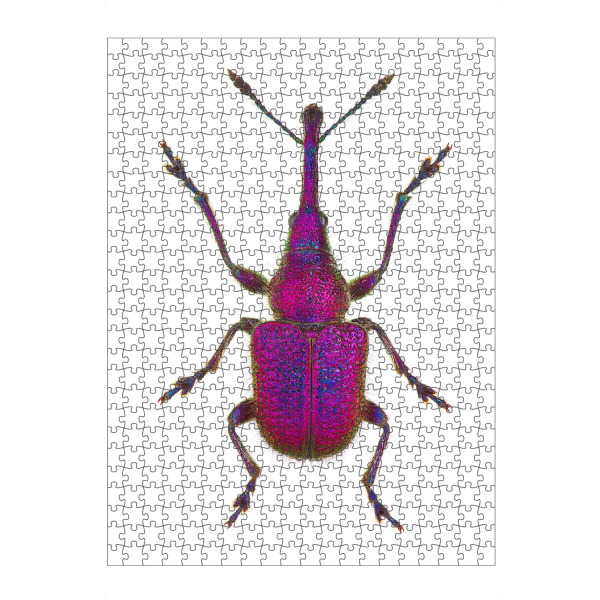 artboxONE Puzzle "Rhynchites bacchus" artboxONE - Tiere - Käfer,Insekt,Natur,Entomologie,Artenschutz,Wildlifeartprint,Makro,Makrofotografie