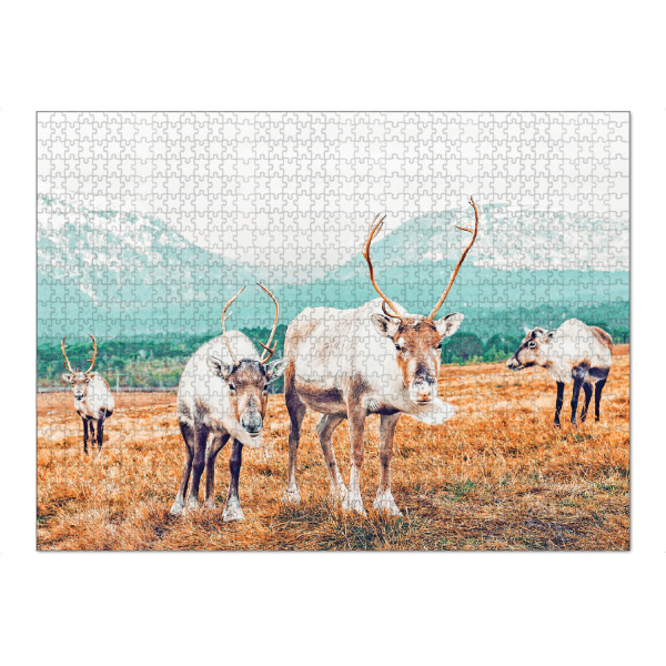 Puzzle Ravensburger "Curious Winter" artboxONE - Natur,Tiere