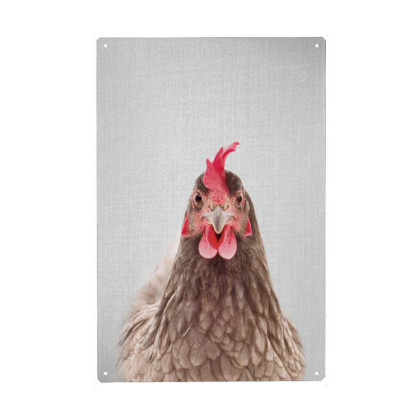 Holzbild "Chicken - Colorful" artboxONE - Tiere