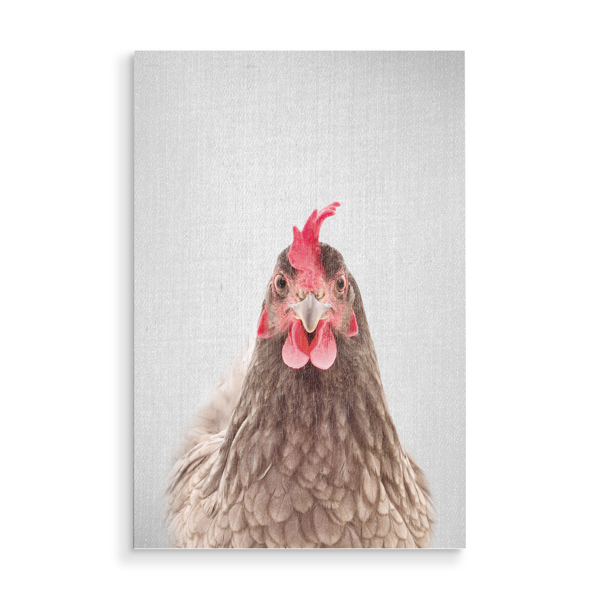Holzbild "Chicken - Colorful" artboxONE - Tiere