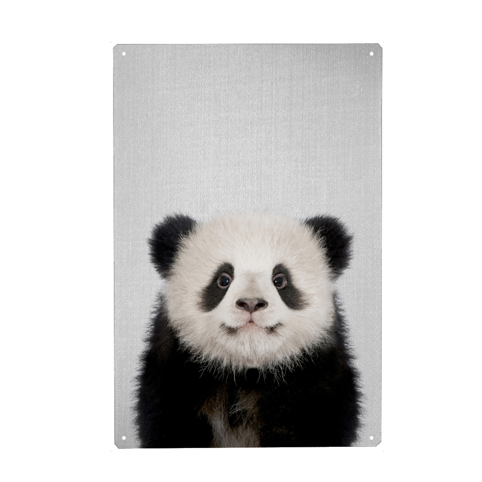Holzbild "Baby Panda Bear - Colorful" artboxONE - Für Kinder,Tiere