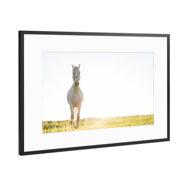 Poster mit Rahmen Schwarz (Metallic) "Young horse trotting on meadow" artboxONE - Tiere