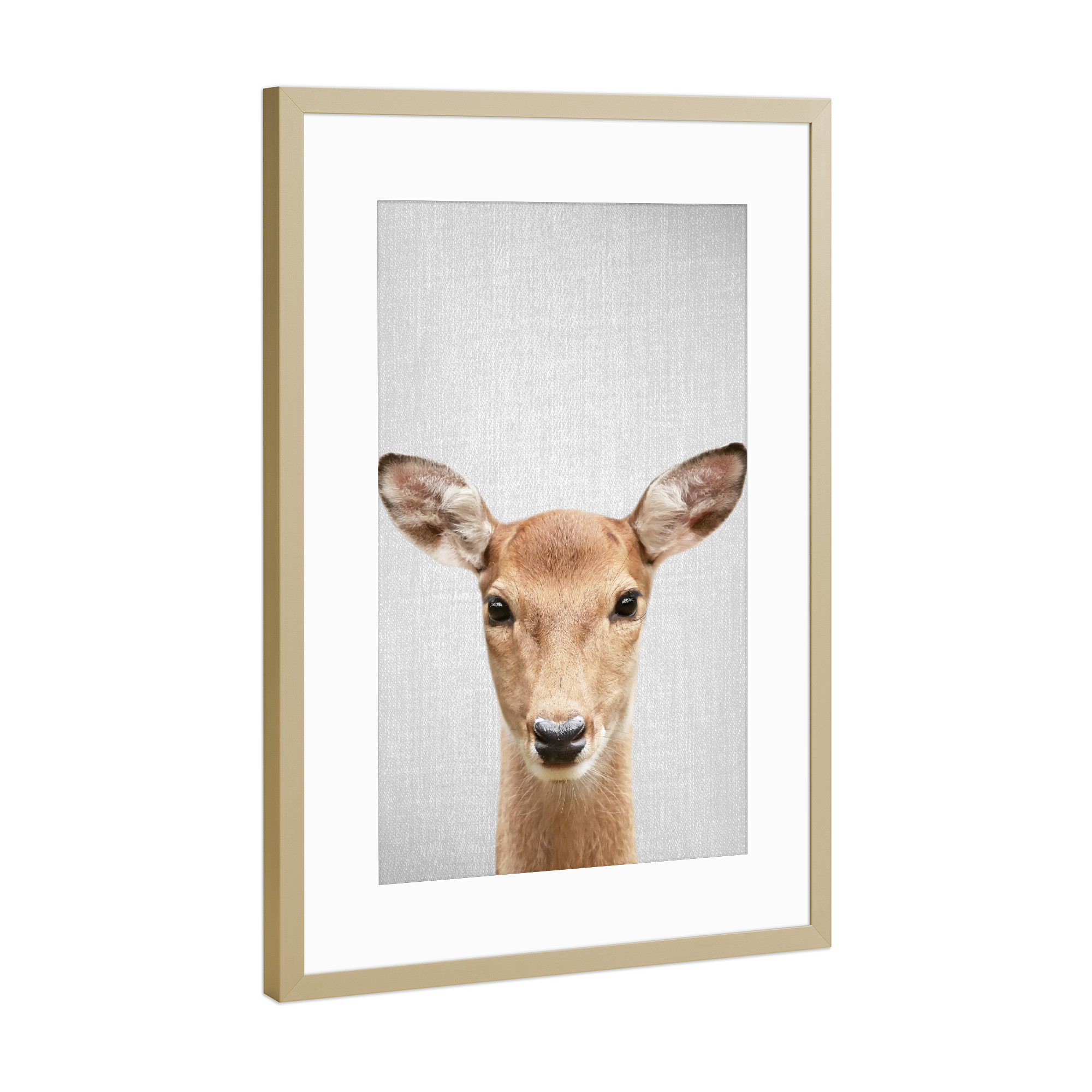 Poster mit Rahmen Gold "Doe - Colorful" artboxONE - Für Kinder,Tiere