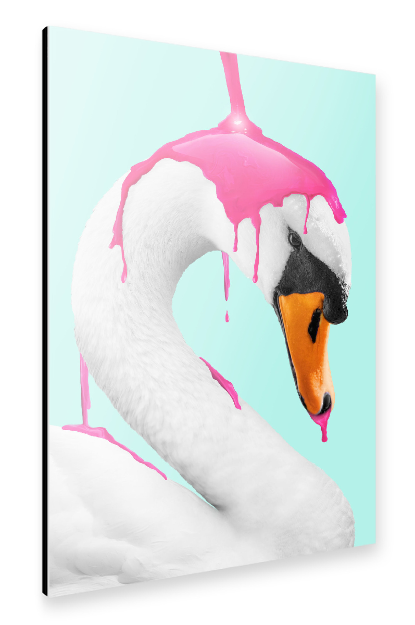 Alu-Dibond "MAKING A FLAMINGO" 75x50 cm artboxONE