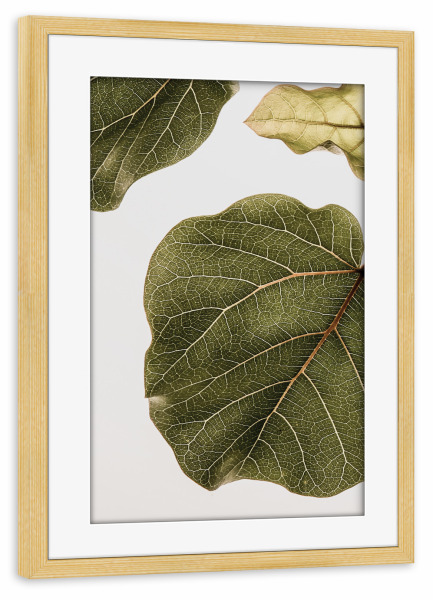 Poster mit Rahmen kiefer "Msinsi" artboxONE - Natur,Floral,Abstrakt - Nature,Floral,Leaf,Botanical,Tropical,Geometry,Natural colors