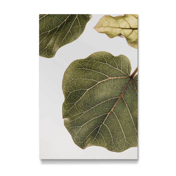 Galerie-Print "Msinsi" 30x20 cm artboxONE